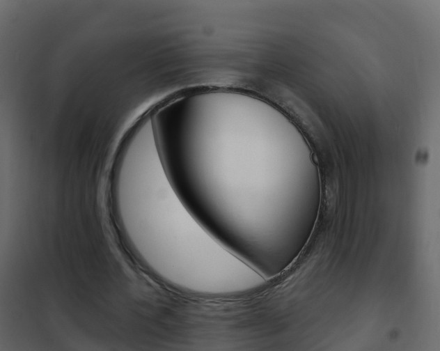 X0000102480532200808081035