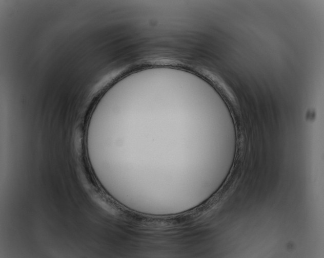 X0000102480533200808081035