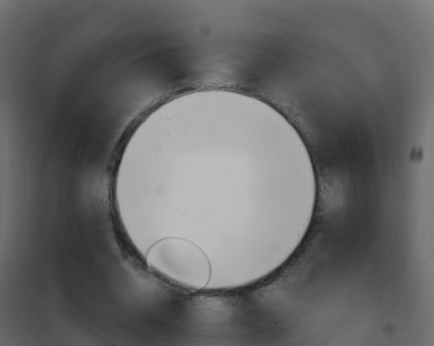 X0000102480534200808081035