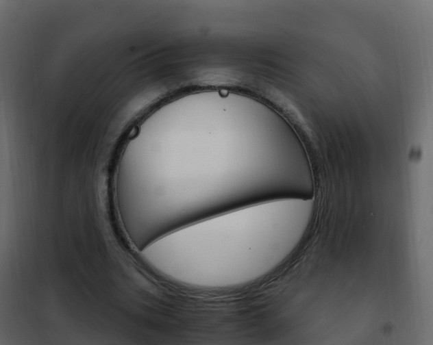 X0000102480535200808081035