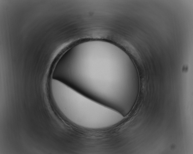 X0000102480536200808081035