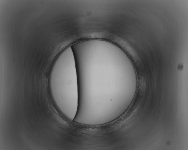 X0000102480537200808081035