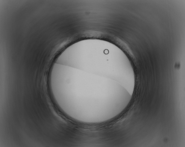 X0000102480538200808081035