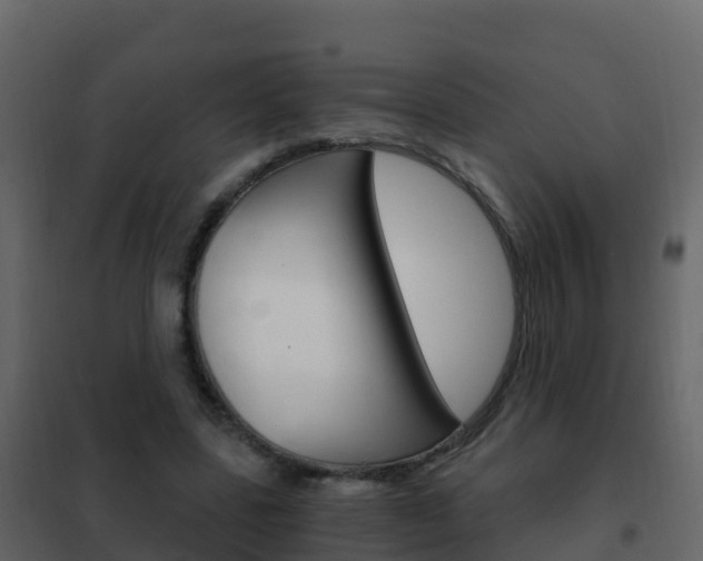 X0000102480539200808081035