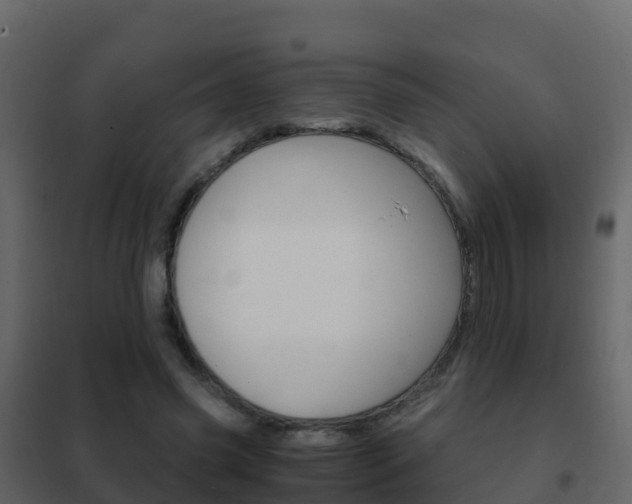 X0000102480541200808081035