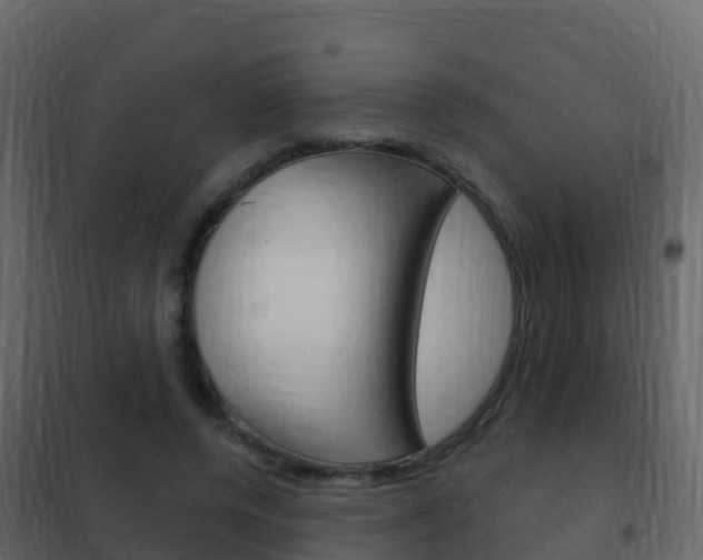 X0000102480544200808081035