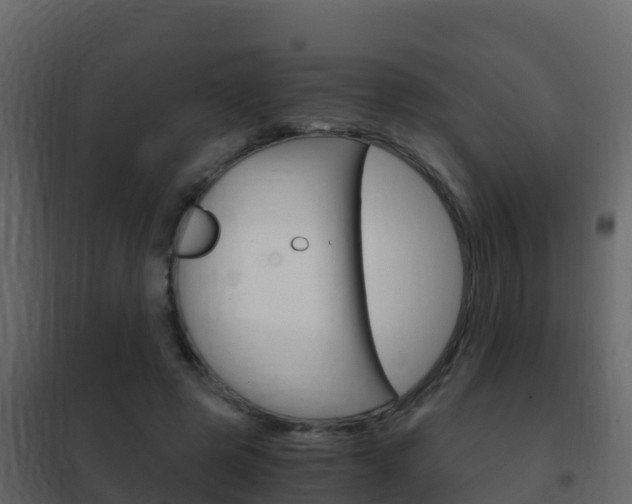 X0000102480545200808081035