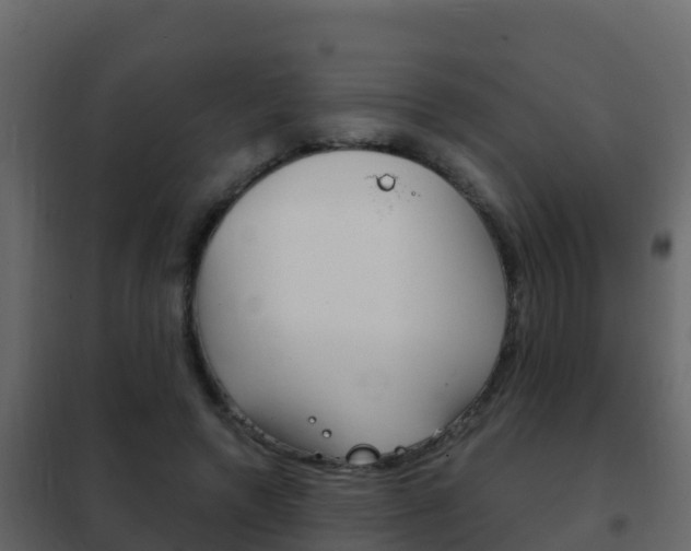 X0000102480546200808081035