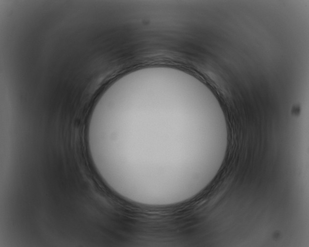 X0000102480547200808081035
