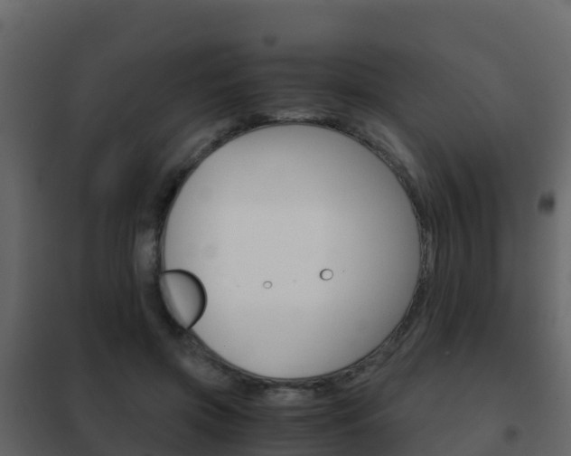X0000102480549200808081035