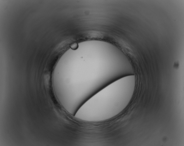 X0000102480550200808081035