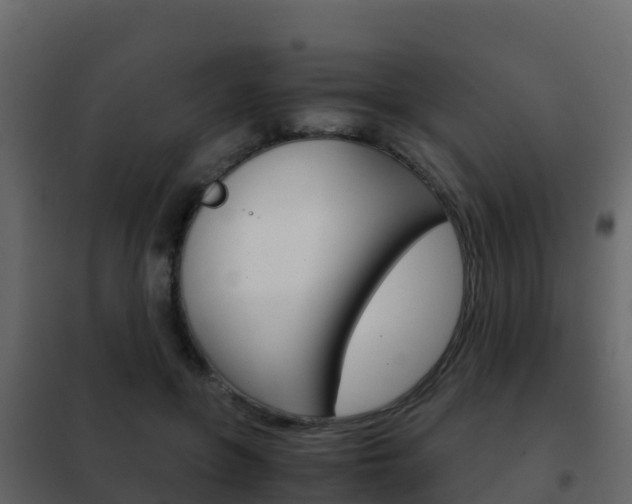 X0000102480551200808081035