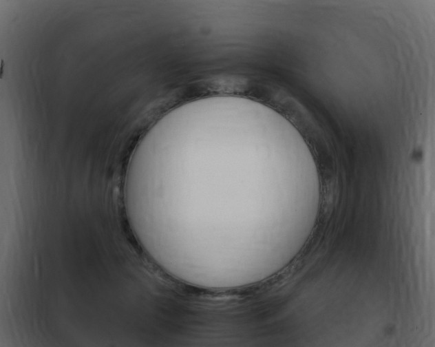X0000102480553200808081035