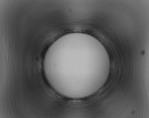 X0000102480554200808081035