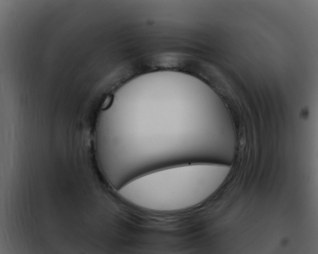 X0000102480555200808081035