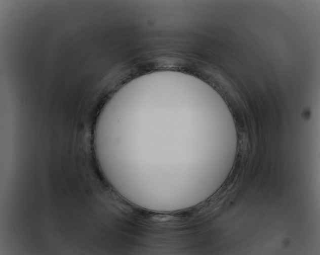 X0000102480557200808081035