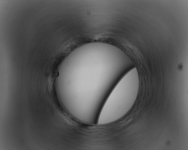 X0000102480558200808081035