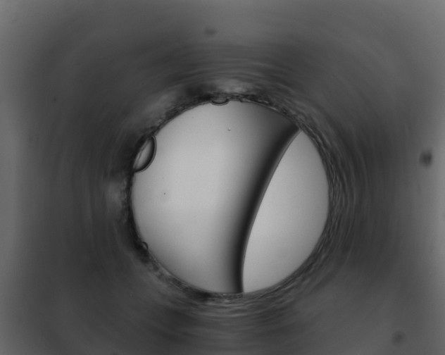 X0000102480559200808081035