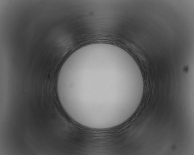 X0000102480560200808081035
