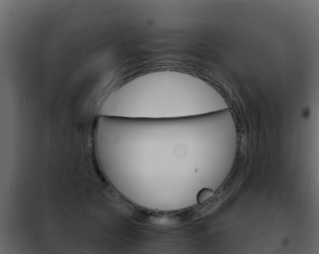 X0000102480561200808081035