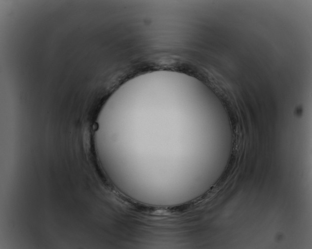X0000102480562200808081035