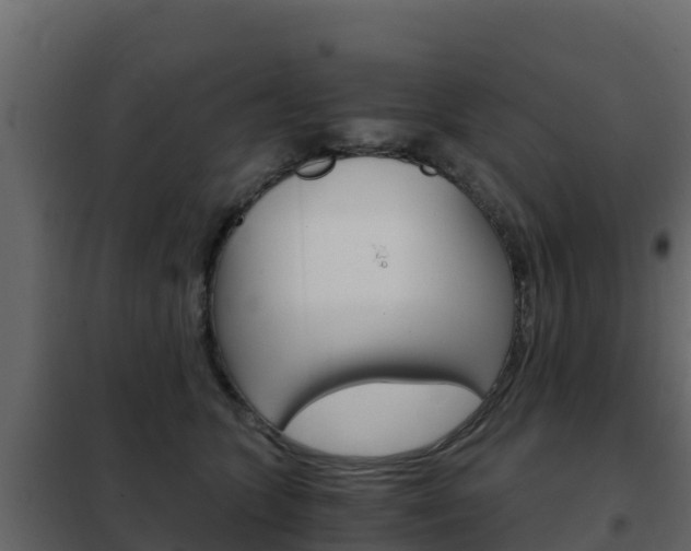 X0000102480563200808081035