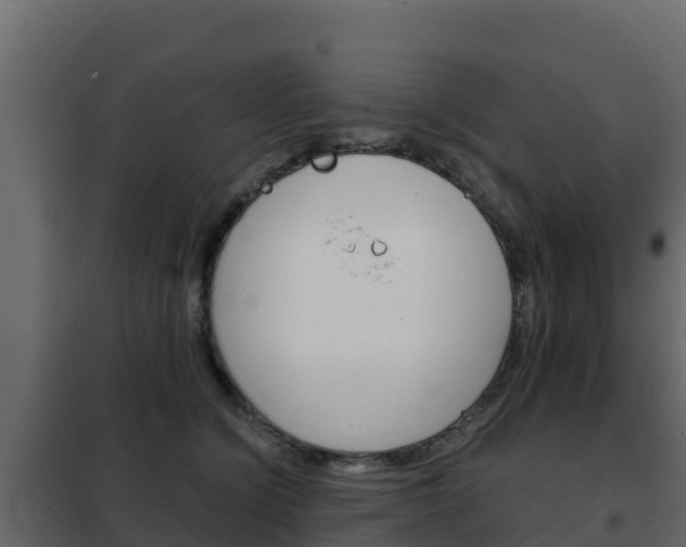 X0000102480564200808081035