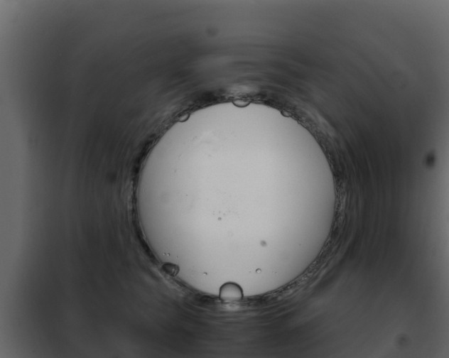 X0000102480565200808081035