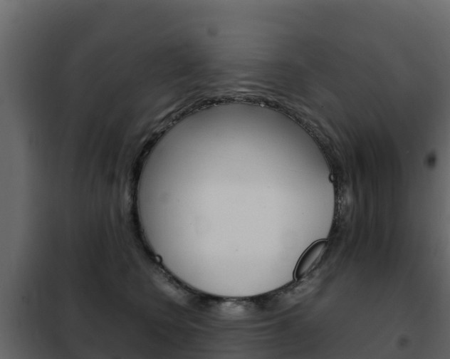 X0000102480566200808081035