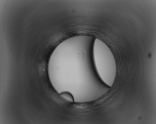 X0000102480567200808081035