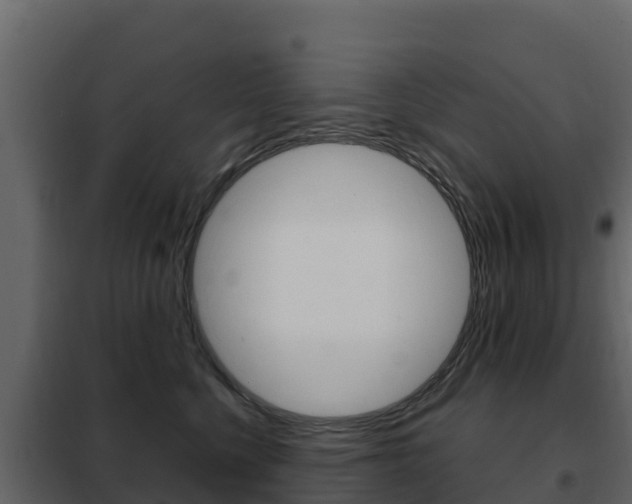 X0000102480568200808081035