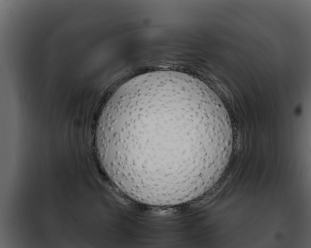 X0000102480569200808081035