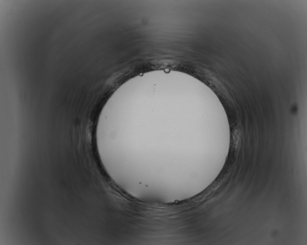 X0000102480570200808081035