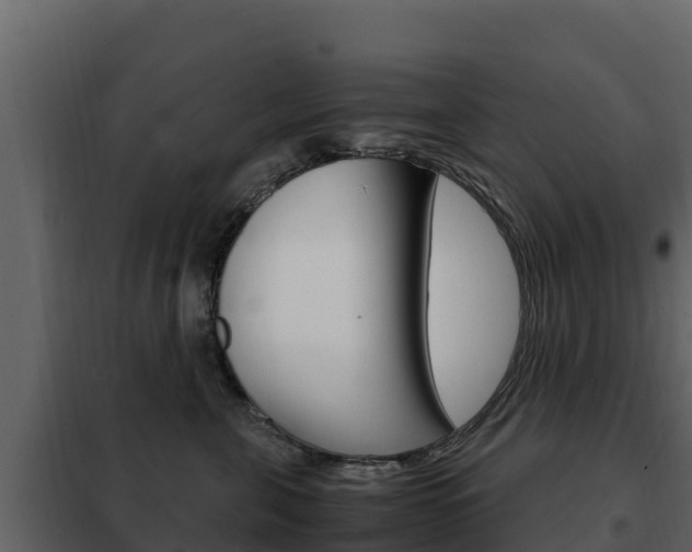 X0000102480571200808081035