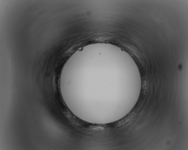 X0000102480572200808081035
