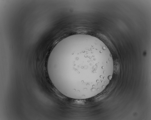 X0000102480573200808081035