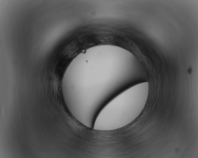 X0000102480574200808081035