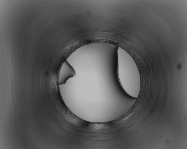 X0000102480575200808081035