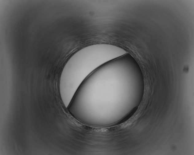 X0000102480576200808081035