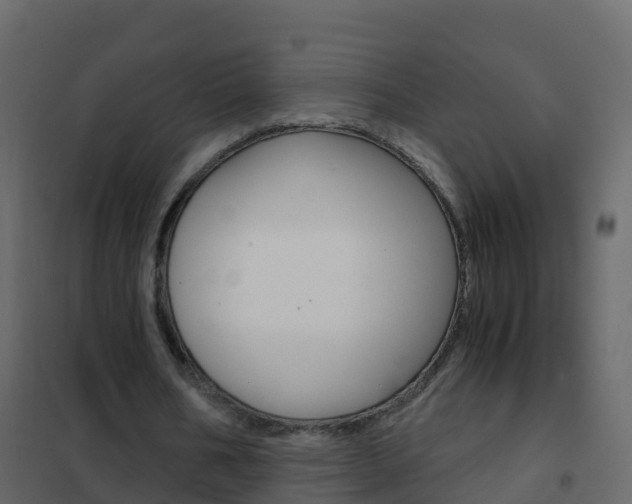 X0000102480578200808081035