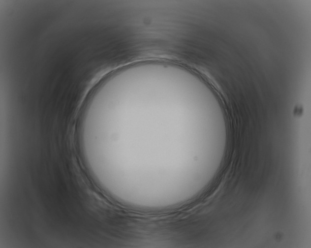 X0000102480579200808081034