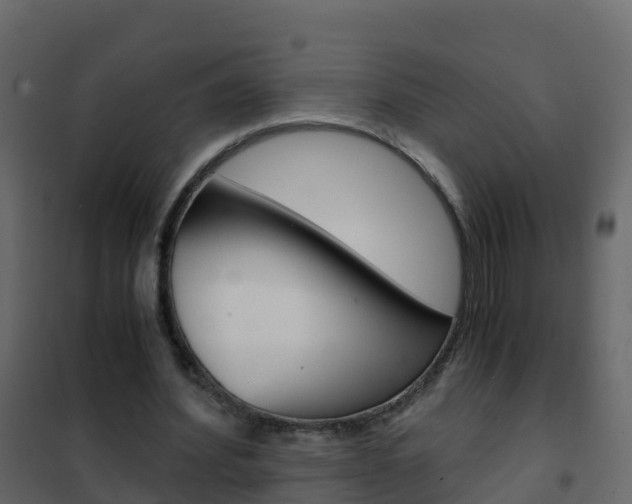X0000102480580200808081034