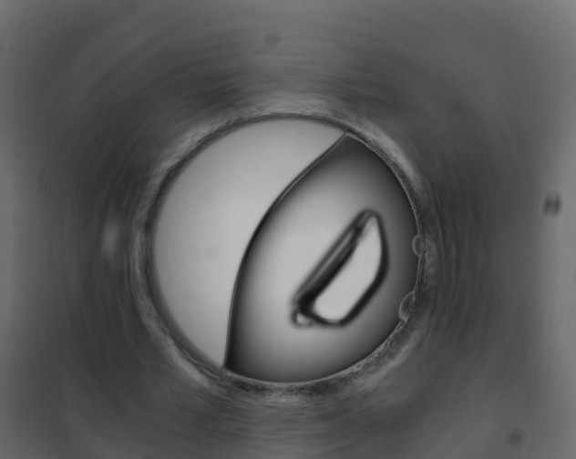 X0000102480581200808081034