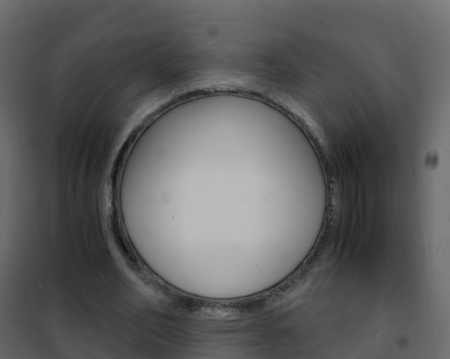 X0000102480582200808081034
