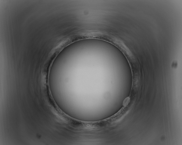 X0000102480585200808081034