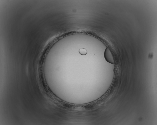X0000102480587200808081034