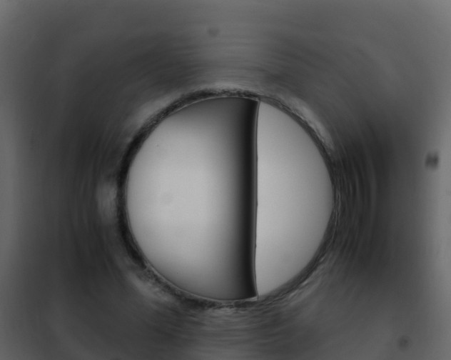 X0000102480588200808081034