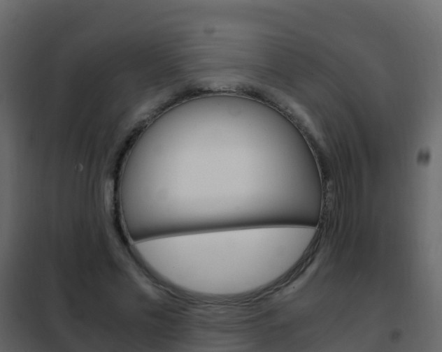 X0000102480589200808081034