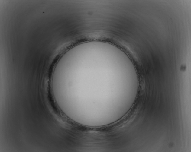 X0000102480590200808081034