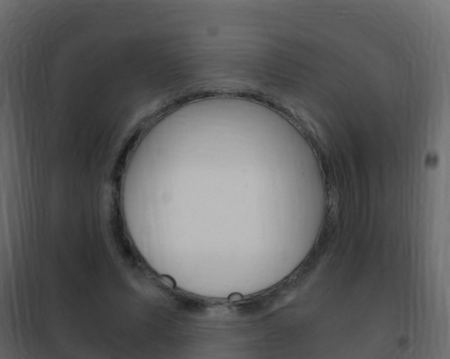 X0000102480591200808081034